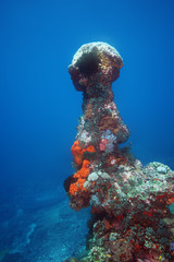 Coral Tower in the Pacific Ocean in the shape of figures