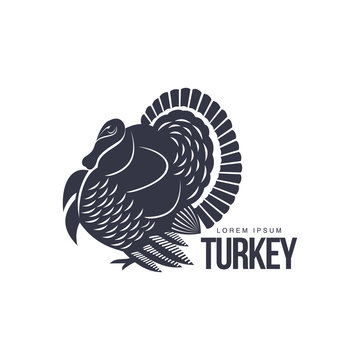 Stylized turkey silhouette graphic logo template, vector illustration on white background. Black and white decorated, sophisticated turkey for business, farm, poultry logo design