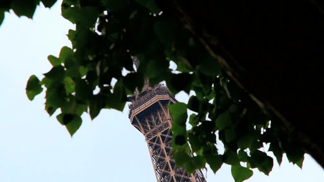 Eiffel tower in Paris