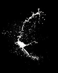 Obraz premium Milk splash, isolated on black background