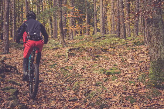 Fahrrad fahren im Herbst Wald