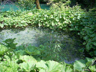 Plitvice Lakes National Park view