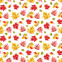 Fototapeta na wymiar Autumn pattern. Colorful abstract leaves of maple, aspen and rowan. Seamless ornament.