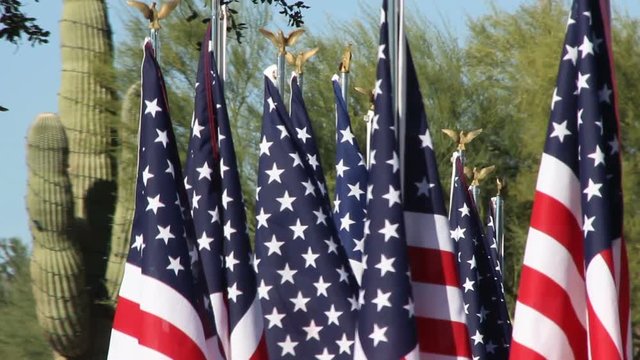 American Flags waiving in desert landscape