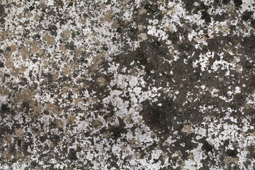 Stained concrete block floor for backgrounds