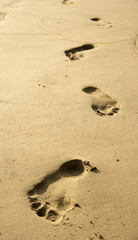 Footprints in the sand