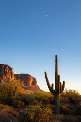 Superstition Mountains in Arizona