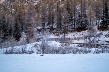 Mountain landscape with snow and snow-covered trees. Mountains in winter with colorful trees