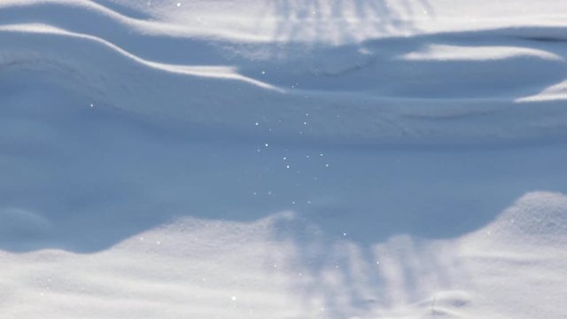 Sparking snowflakes. Natural background. Halo.