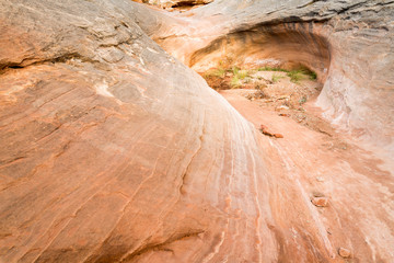 Zebra and Tunnel Slot Canyons in Utah