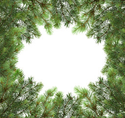 Branches of a Christmas tree isolated. Christmas ornament. Patte