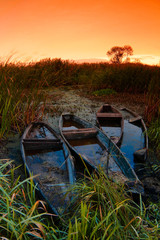 Dzika Narew  © Wojciech Lisiński
