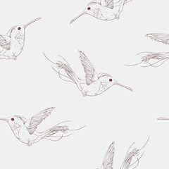 Tropical bird colibries seamless pattern. Hand drawn vector illustration.