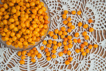 sea buckthorn