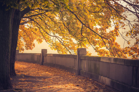 Autumn landscape, Krakow, Poland, Vistula river boulevards park