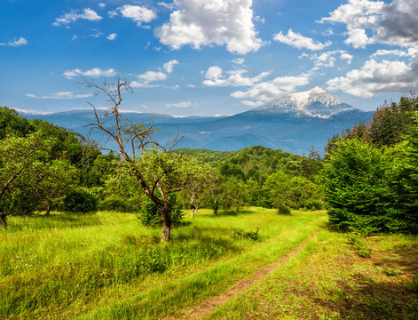 Winter in mountains meets spring in valley