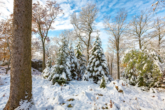 Wintereinbruch im Harz