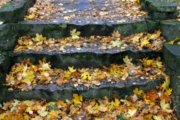 Autumn stairs
