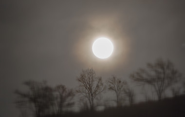 moonrise over the hill