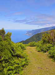 Portugal, Madeira, View of Fanal..