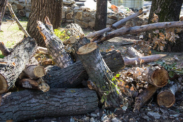 chopped firewood on a stack