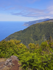 Portugal, Madeira, Elevated view of the Chao da Ribeira..
