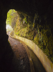 Portugal, Madeira, View of the Levada da Serra do Faial on the part from Ribeiro Frio to Portela..