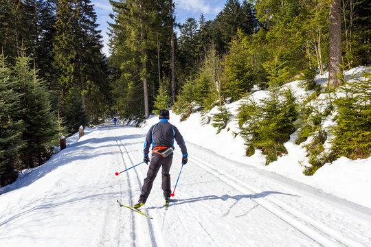 Skilangl&auml;ufer im Wald auf einer Loipe