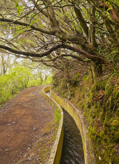Portugal, Madeira, View of the Levada da Serra do Faial on the part from Ribeiro Frio to Portela..