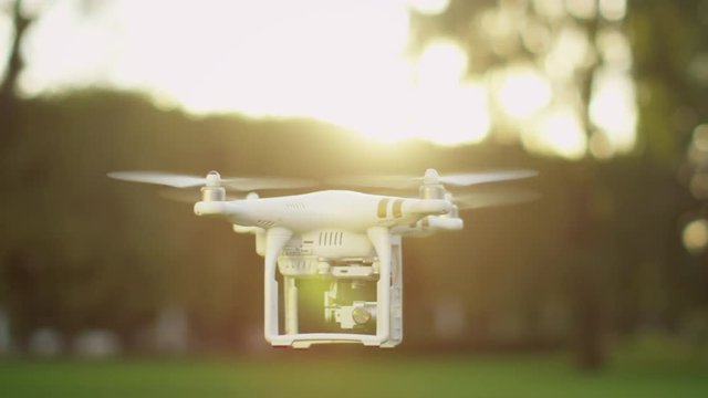 Son Controls Flying Drone while Father Watches. Fun In the Park. Shot on RED Cinema Camera in 4K (UHD) 