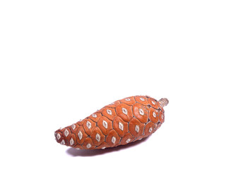 Close-up of one bright color natural dry pine cone isolated on white background 