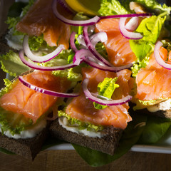Salmon and red onions sandwiches