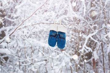 Kids mittens and gloves hanging on a branch in winter forest