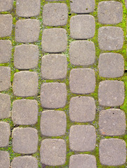 paving stones on road