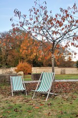 Deux chaises longues en toile rayées en vert et blanc près d'un arbre en automne