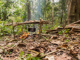 Fototapeta premium Picnic in the jungle