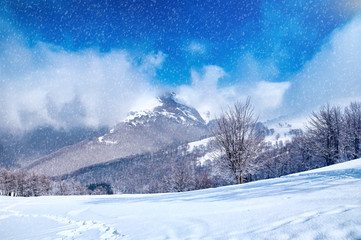 Amazing panorama sunny winter landscape with snow covered trees