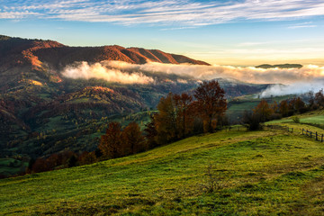 Plakat foggy and hot sunrise in Carpathian mountains