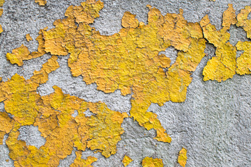 peeling yellow paint
