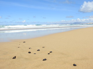 Black rocks at a beautiful beach