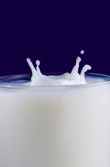 Still life with milk