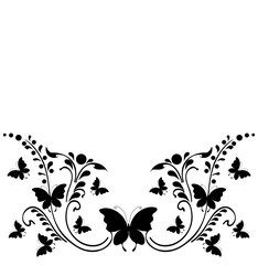 black butterflies,isolated on a white