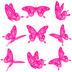 color butterflies,isolated on a white