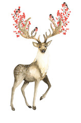 Deer and bullfinches. Watercolor hand drawn