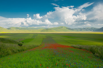Castelluccio di Norcia