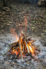 Bonfire in the forest