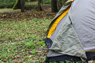 Tourist tent in forest camp