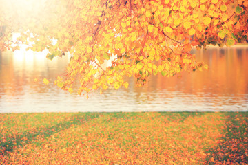 Naklejka na ściany i meble Bright autumn background