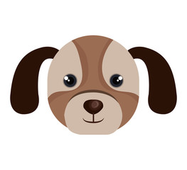 cute dog mascot icon vector illustration design