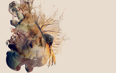 Siamese fighting fish and color ink drop as background,like the heaven.